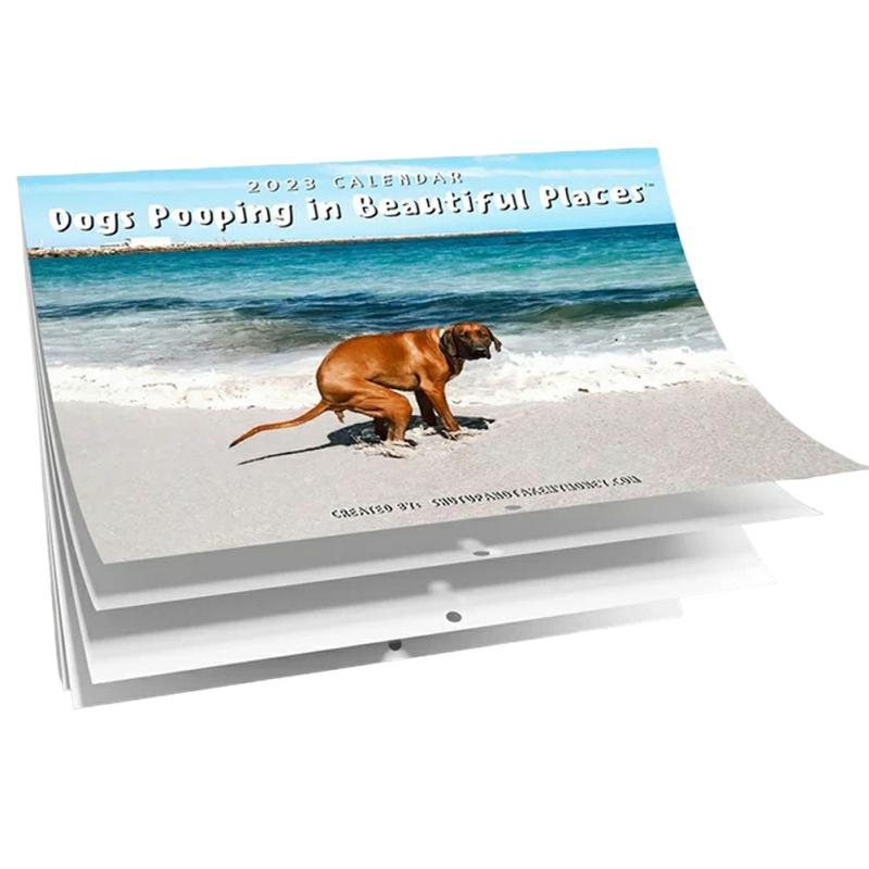 Funny Dog Calendar 2023 Calendar For Wall 12 Months Wall Calendar In Landscape Format Novelty Humorous Calendar Gifts For Dog Lovers  |  Writing Material Writing Material Writing Material