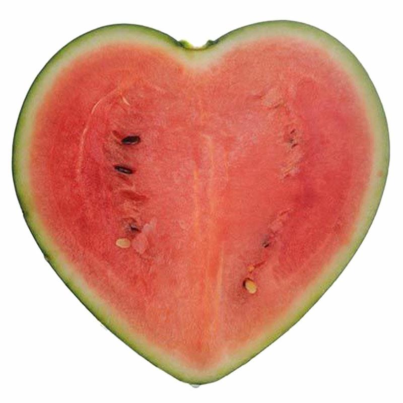 Watermelon Shaping Grow Mold Growth Forming Mold Fruit Shaping Mould Vegetable Growing Mould Style 1  |  Art & Crafts Art & Crafts Art & Crafts